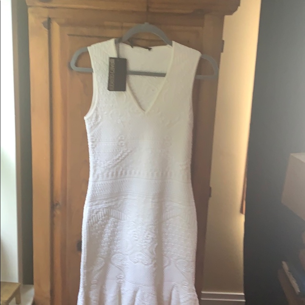 roberto cavalier dress